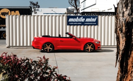 Ford Mustang On Savage Satin Bronze and Black Finish