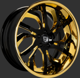 Custom - Gold and Gloss Black