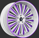 Custom - White and Purple Finish.