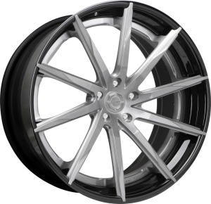 LZ-101 - Custom - Brushed and black finish