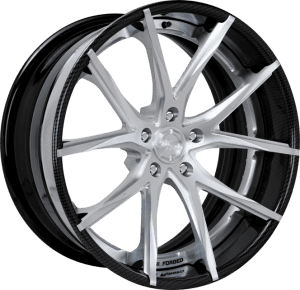 LZ-102 - Custom - Brushed and Carbon Fiber finish