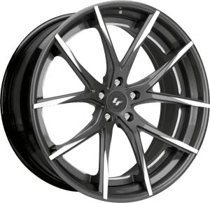 LZ-102 - Custom - Gunmetal and white finish