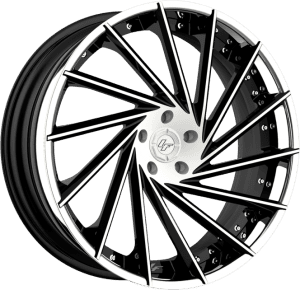 LZ-114 - Custom - Black and white finish