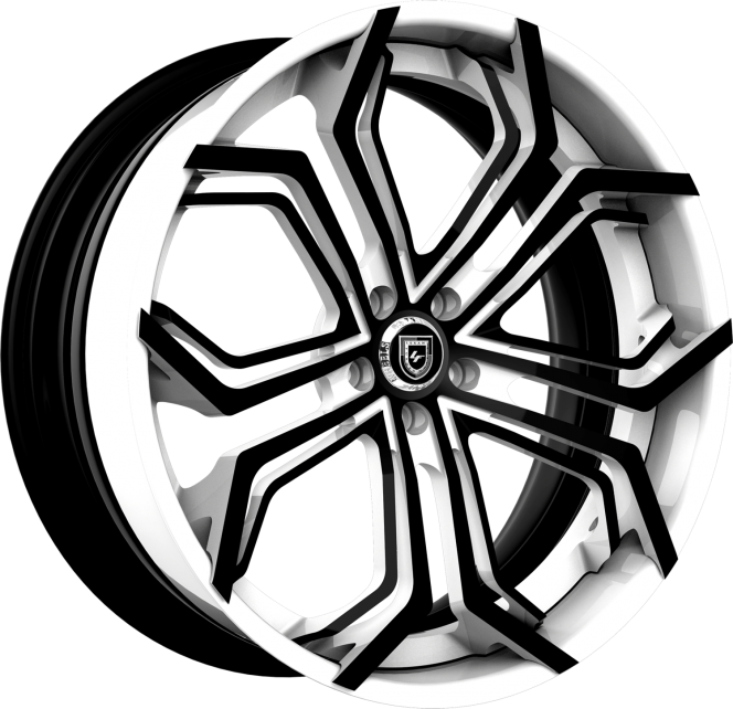 LZ-740 – Custom – White and Black finish. (2)