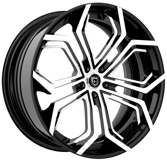 LZ-740 – Custom – White and Black finish