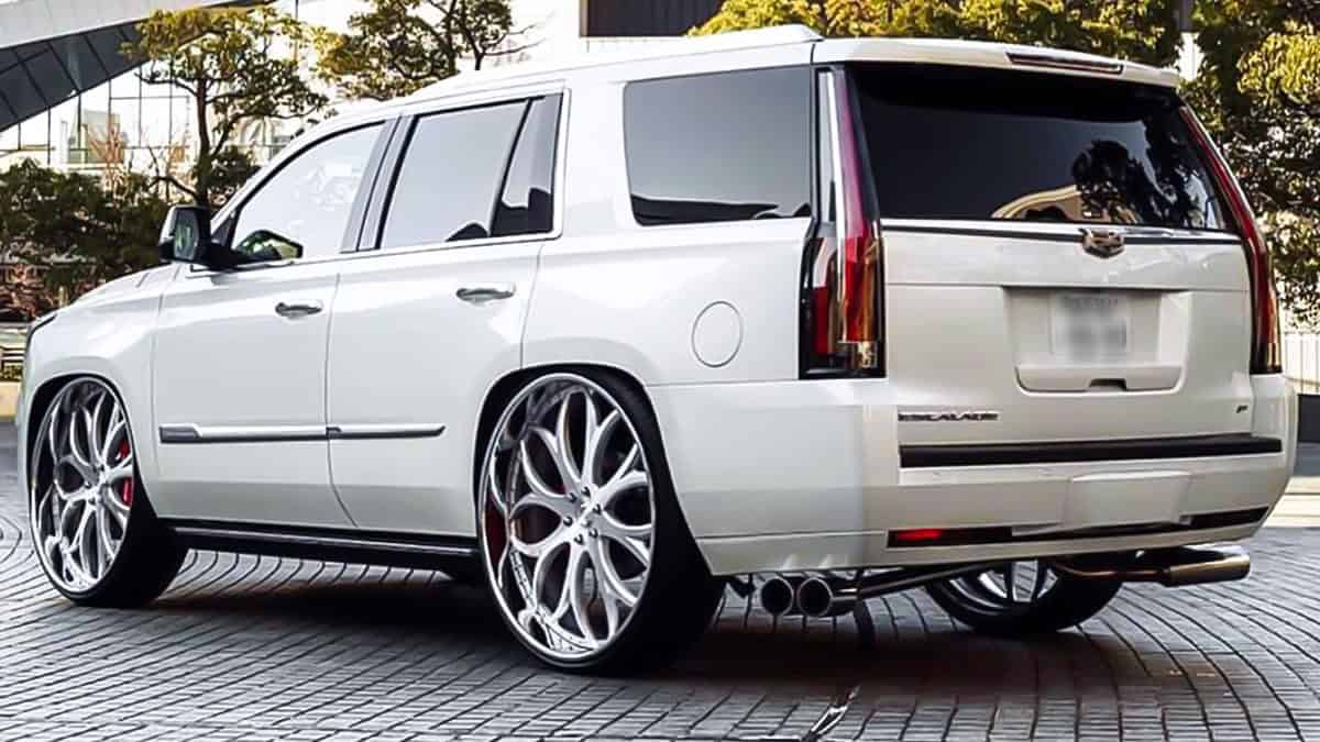 Escalade on LF-771