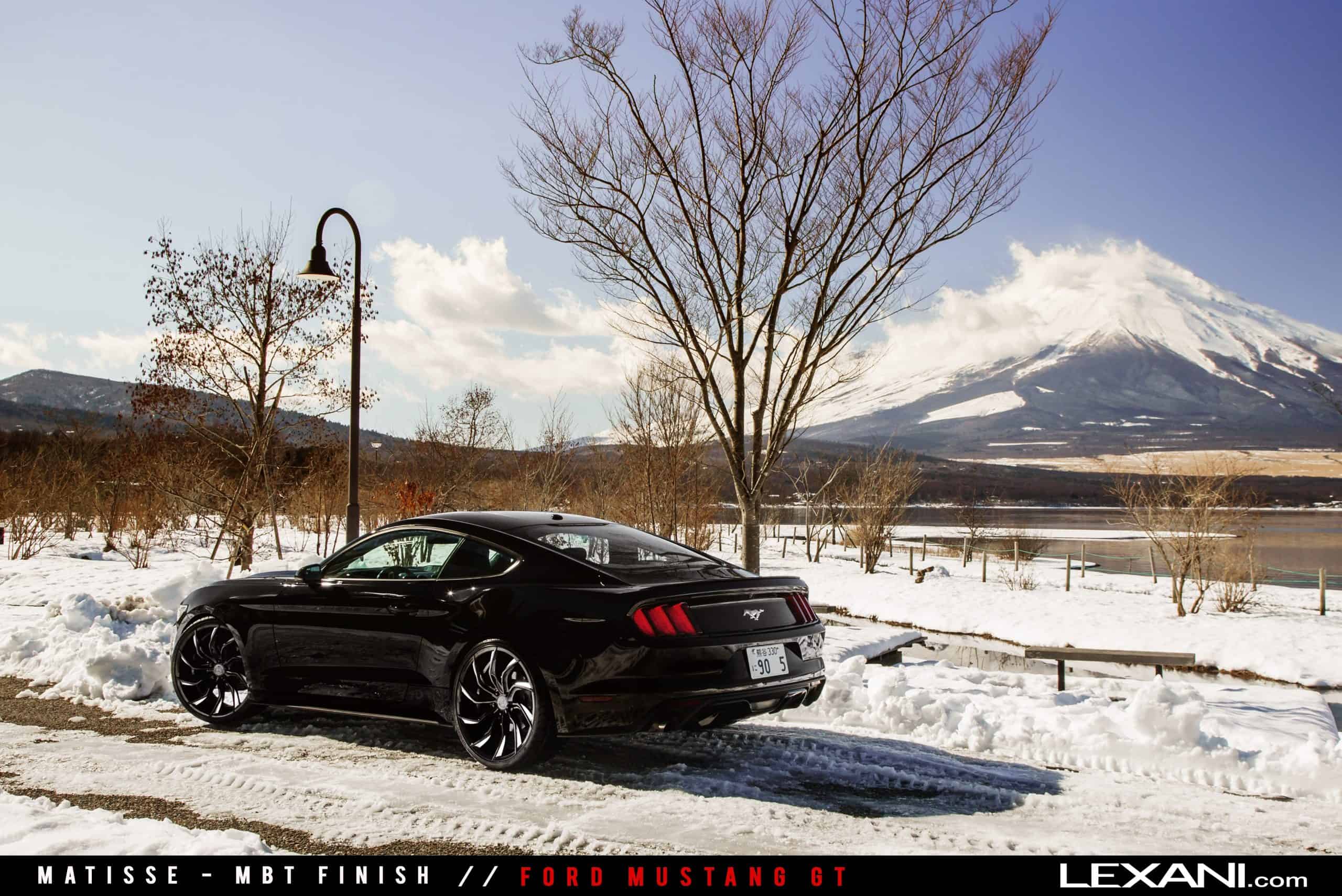 Ford Mustang on Matisse %282%29