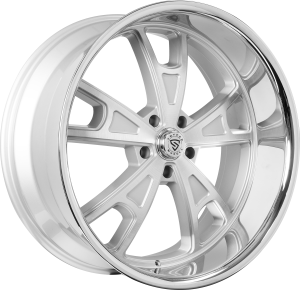 Silver w/ Stainless Steel Lip